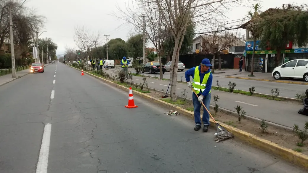 Trabajos de EDT Ingeniería en mantención de áreas verdes, imagen de referencia del rubro