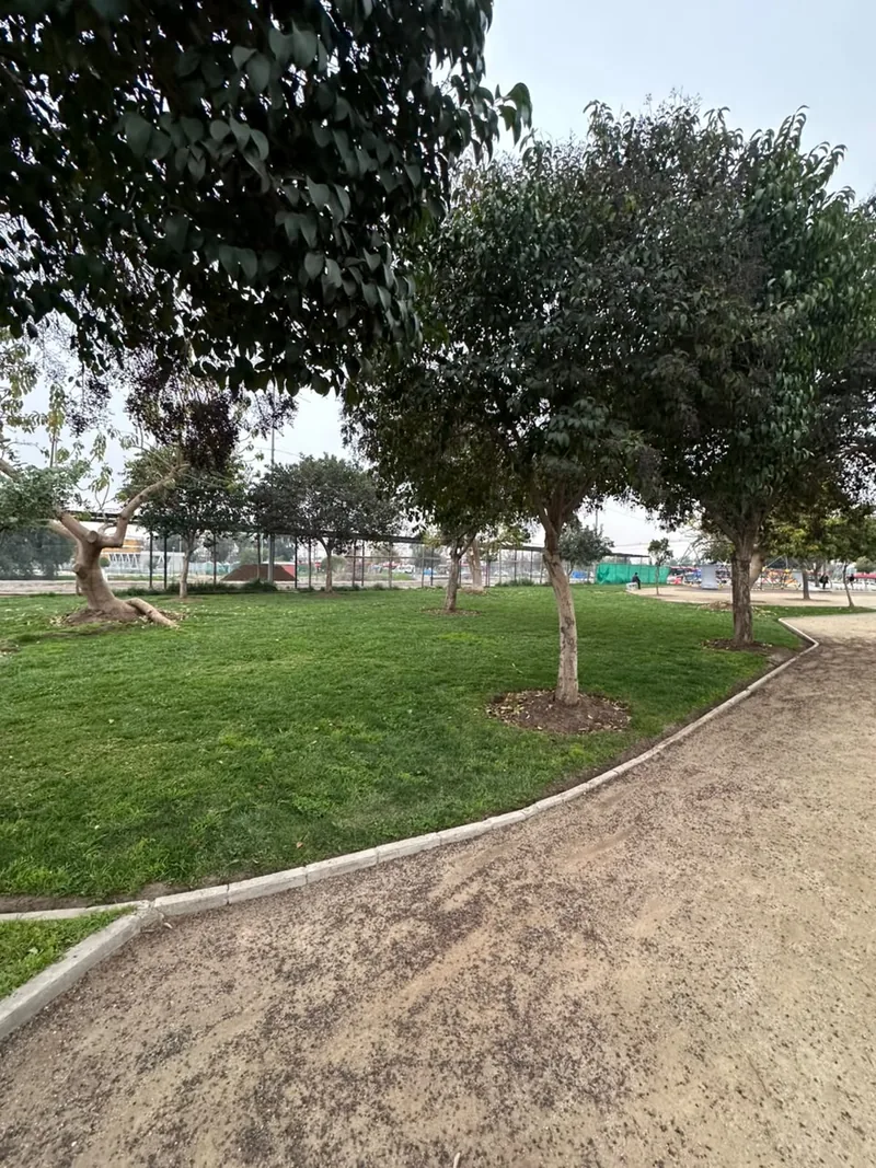 Pradera y árboles junto a un sendero del Parque Lo Prado