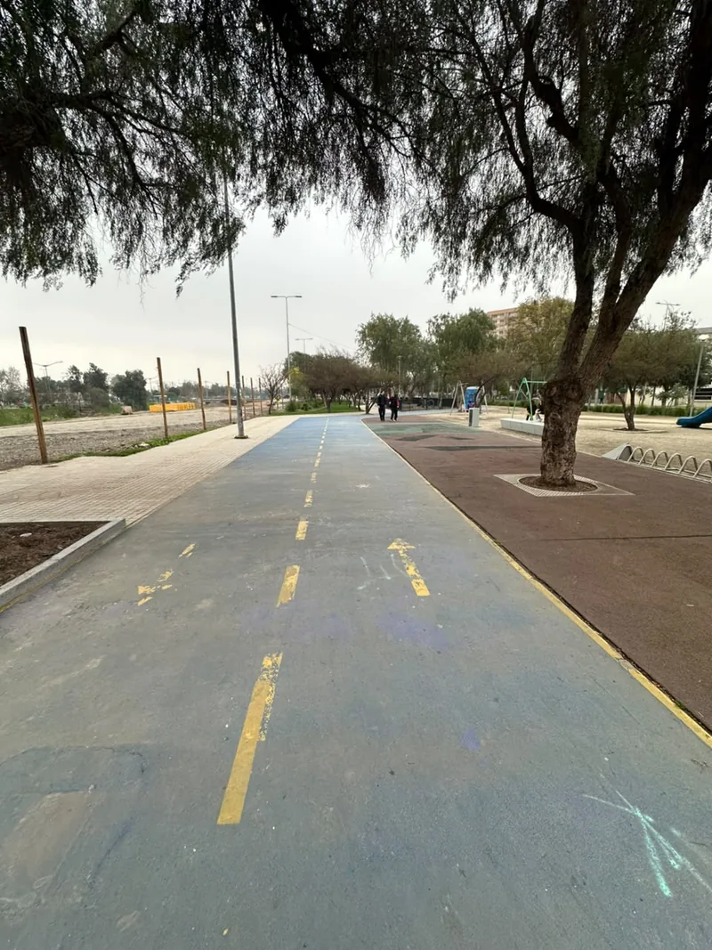 Circuito demarcado bajo los árboles del Parque Lo Prado